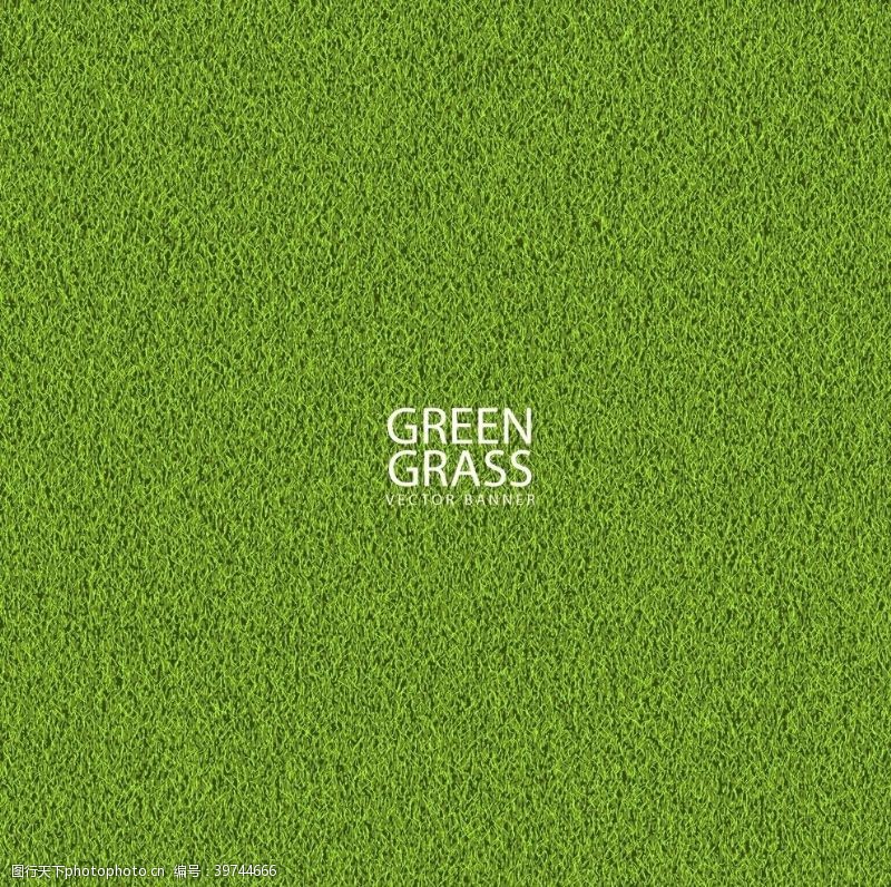 草本图案青草绿色背景图片