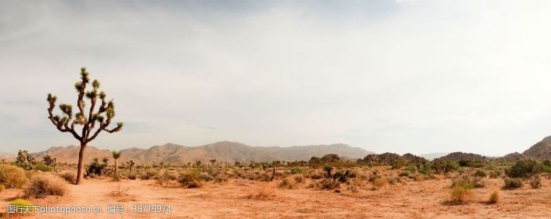 高额沙漠风景图片