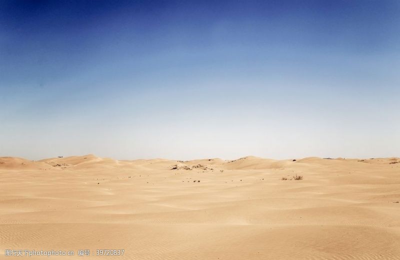 缺水沙漠风景图片