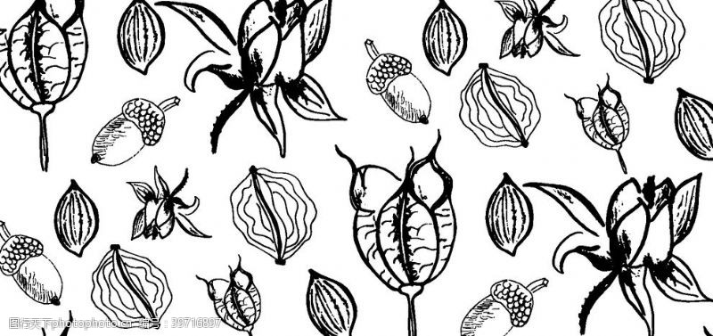 藤条手绘植物背景图片