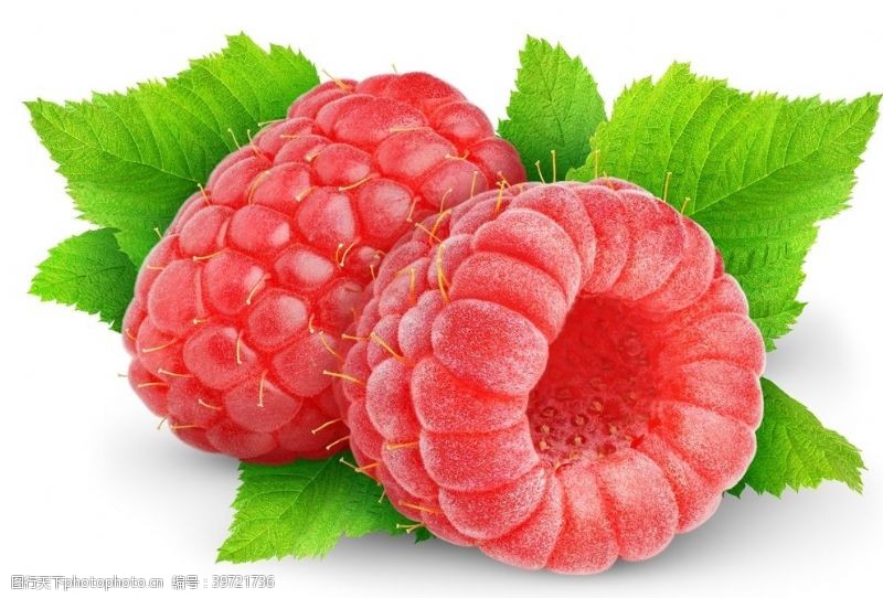 蔬菜基地树莓图片