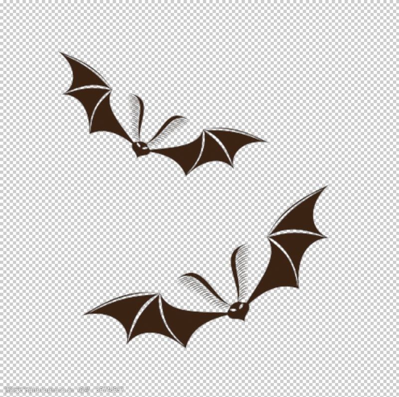 广告设计模版万圣节蝙蝠图片