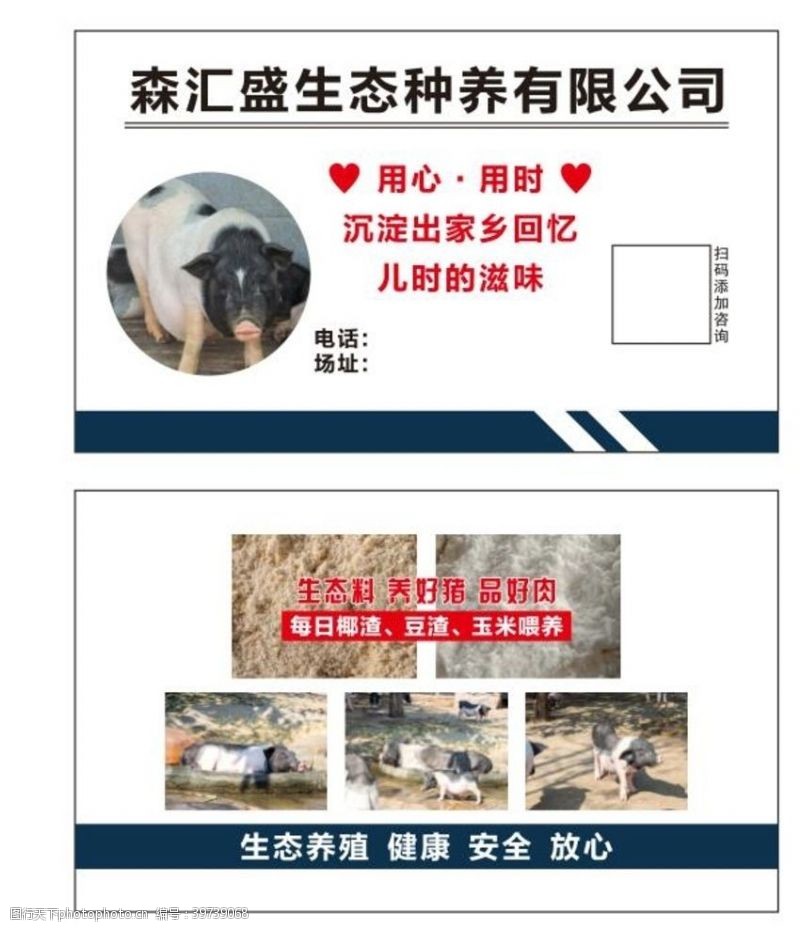 生态养殖养猪场养殖场出售猪名片图片