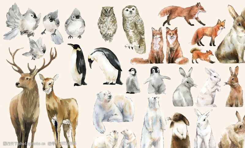 梅花手绘野生动物插图图片