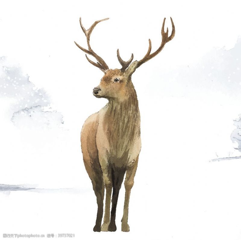 梅花手绘野生动物插图图片