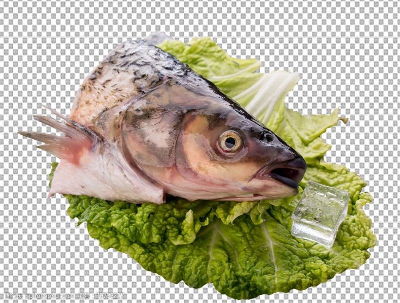 食材鱼头图片