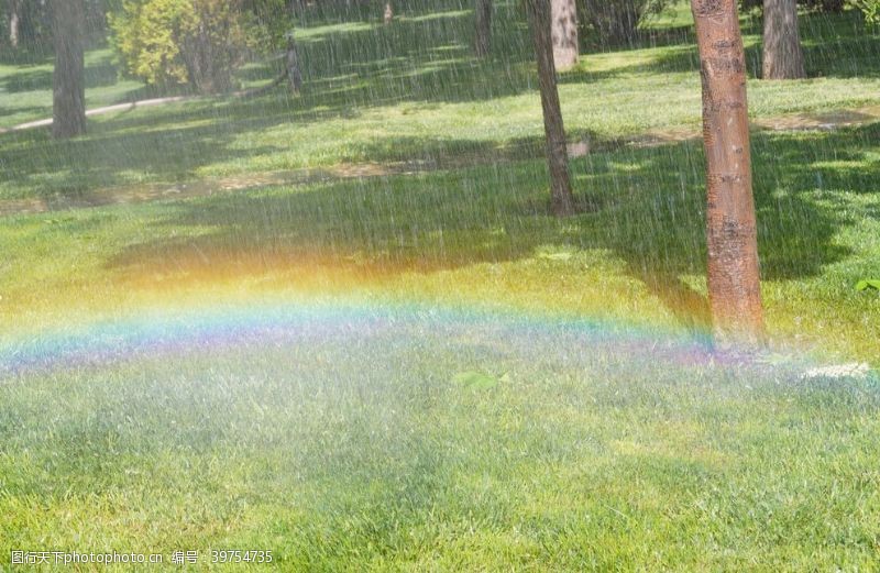 绿色草坪草地上的彩虹图片