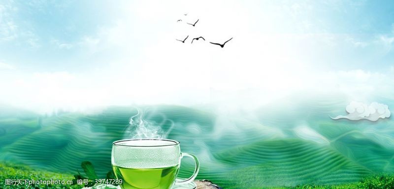 红绿茶系列茶图片