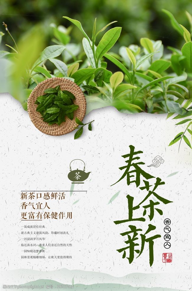 健康中国春茶上市新图片