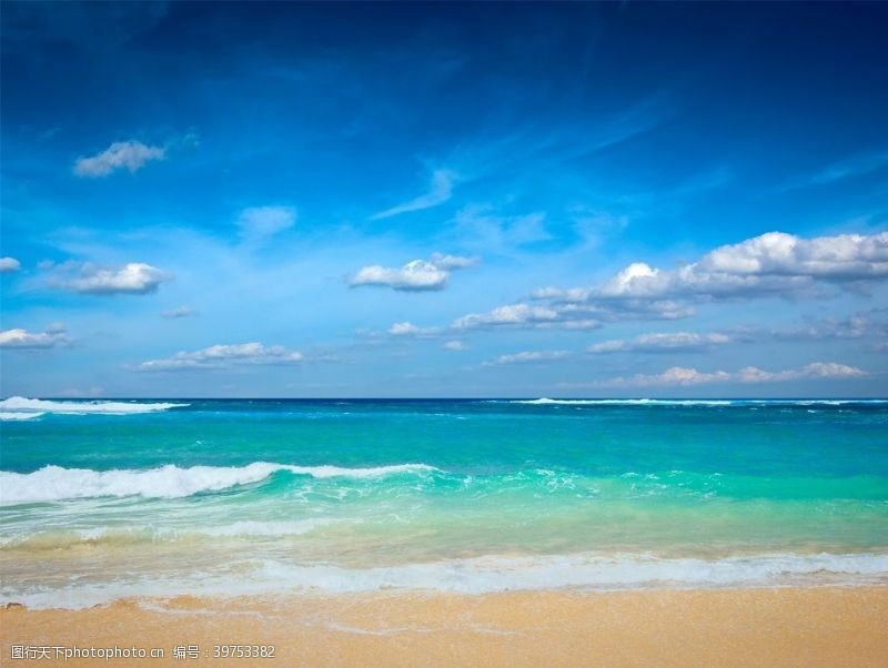 海外风光海滩棕榈椰树风景图片