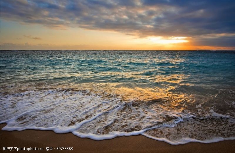 海外风光海滩棕榈椰树风景图片