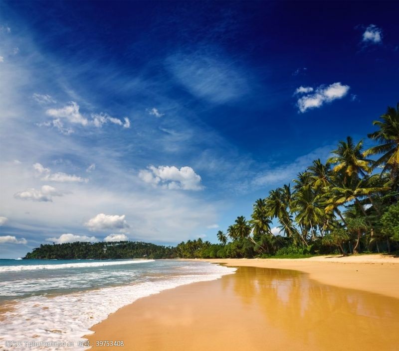 椰壳海滩棕榈椰树风景图片