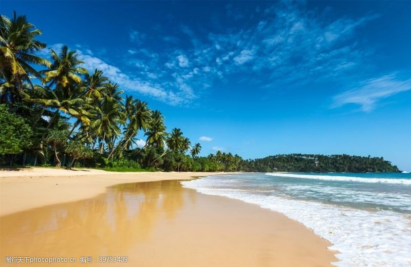 碧海蓝天海滩棕榈椰树风景图片