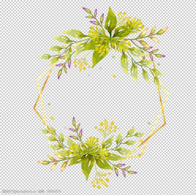 树木插画花环花卉图片