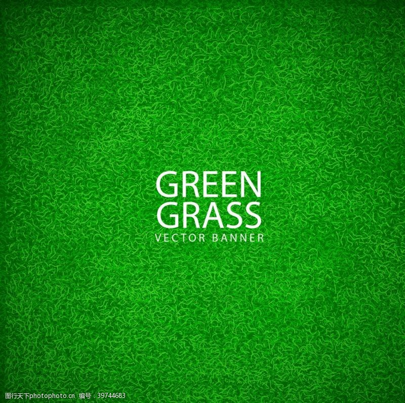 草本植物底纹青草绿色背景图片