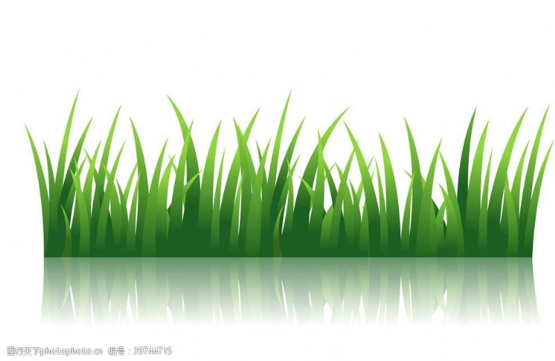 绿色草坪青草植物图片