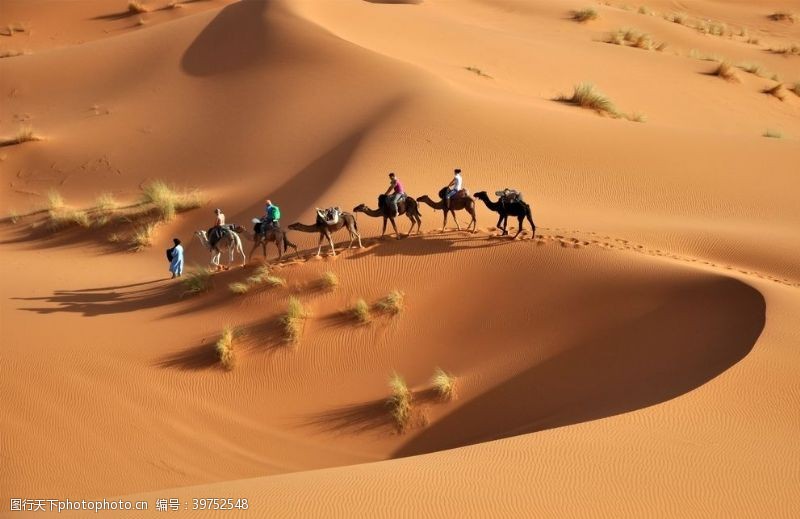 沙漠纹理沙漠戈壁图片
