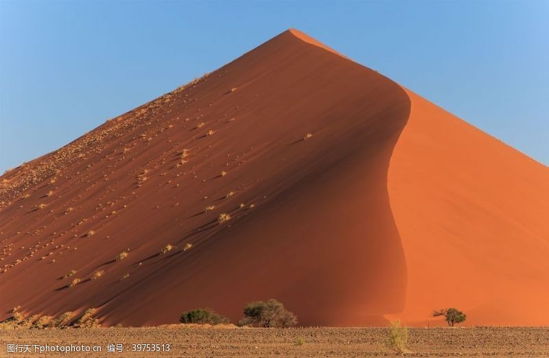 低纹沙漠戈壁图片
