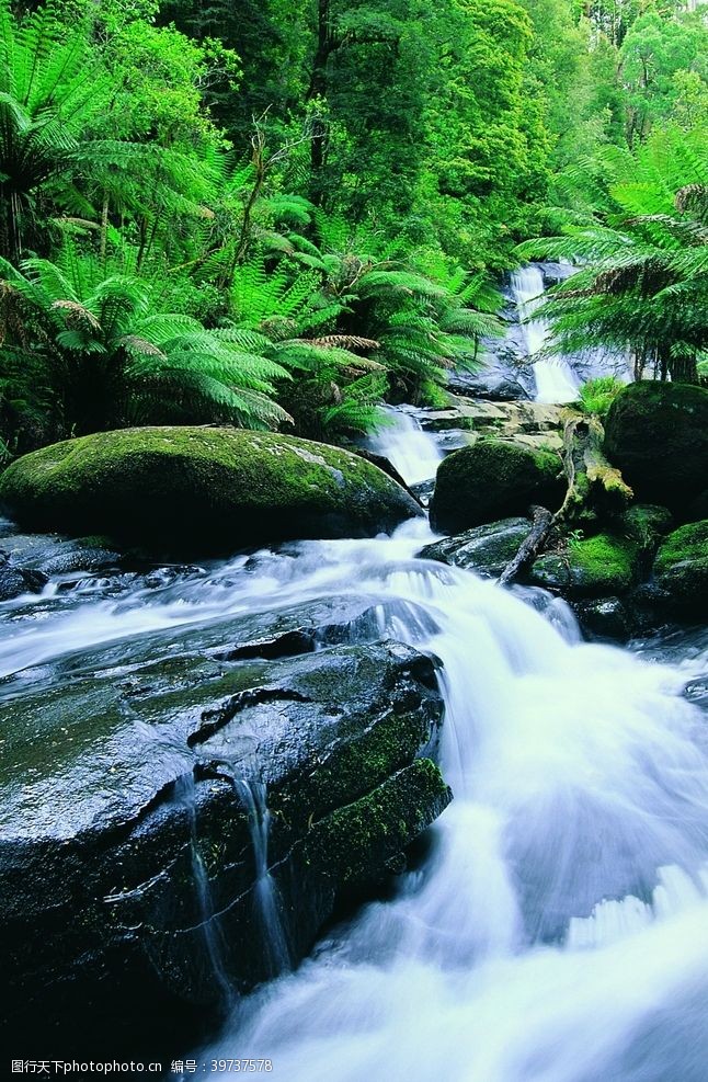 小溪山水瀑布美景图片