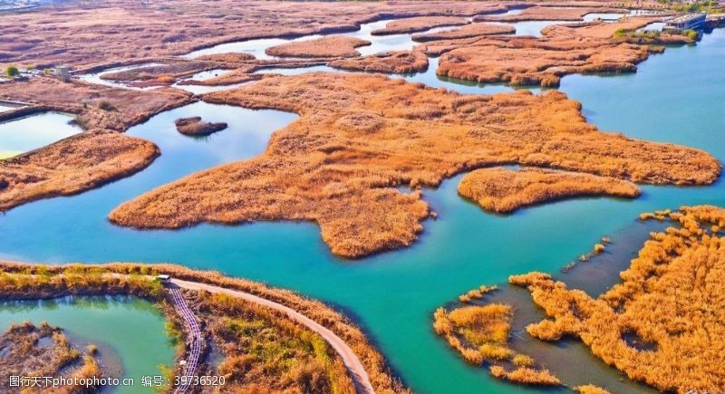 湿地公园深秋张掖国家湿地图片