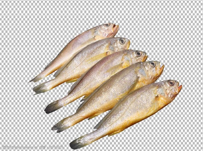 食材鱼图片