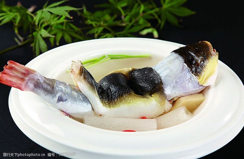 海豚摄影浙菜清炖河豚图片
