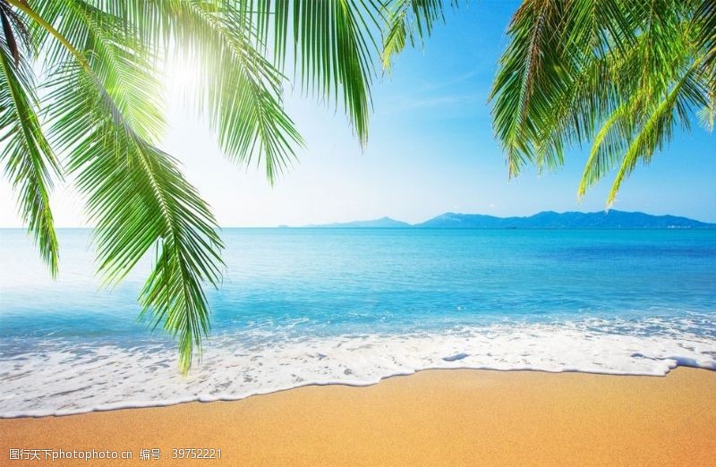户外旅游海滩棕榈椰树风景图片