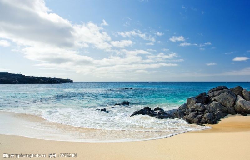 蓝色海滩棕榈椰树风景图片