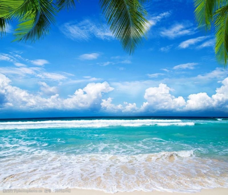 蓝色海滩棕榈椰树风景图片