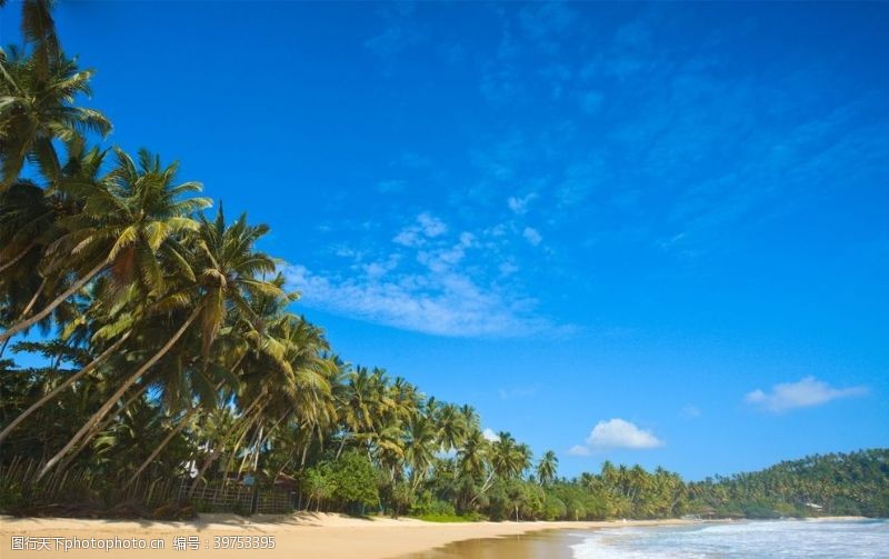 天边的云海滩棕榈椰树风景图片