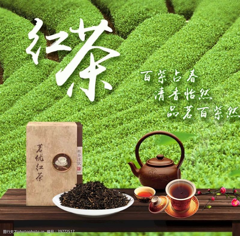 新茶叶红茶图片