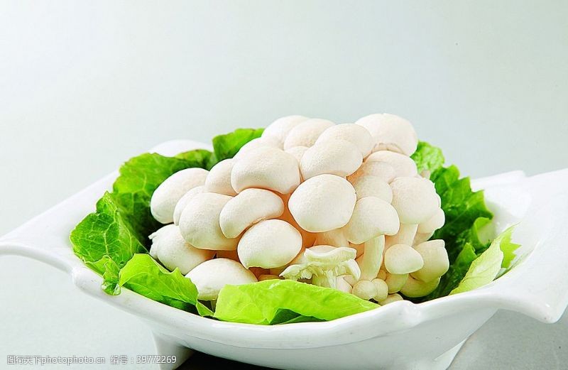 小玉米淮扬菜白玉菇图片