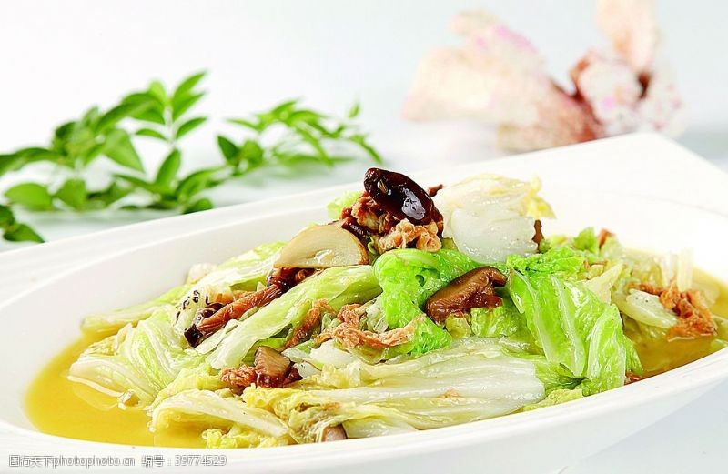 北京淮扬菜口味卤白菜图片