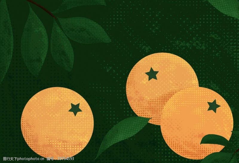 水果插画橘子图片