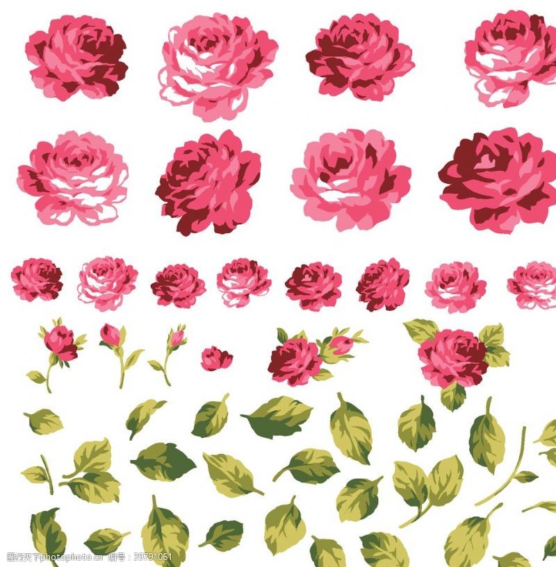 手绘款式玫瑰花朵图片