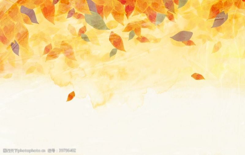 秋季主图秋天叶子背景图片