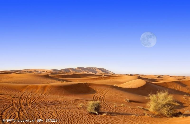 细沙沙漠戈壁图片