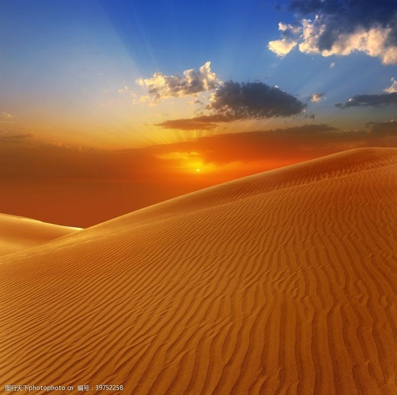 沙漠纹理沙漠戈壁图片