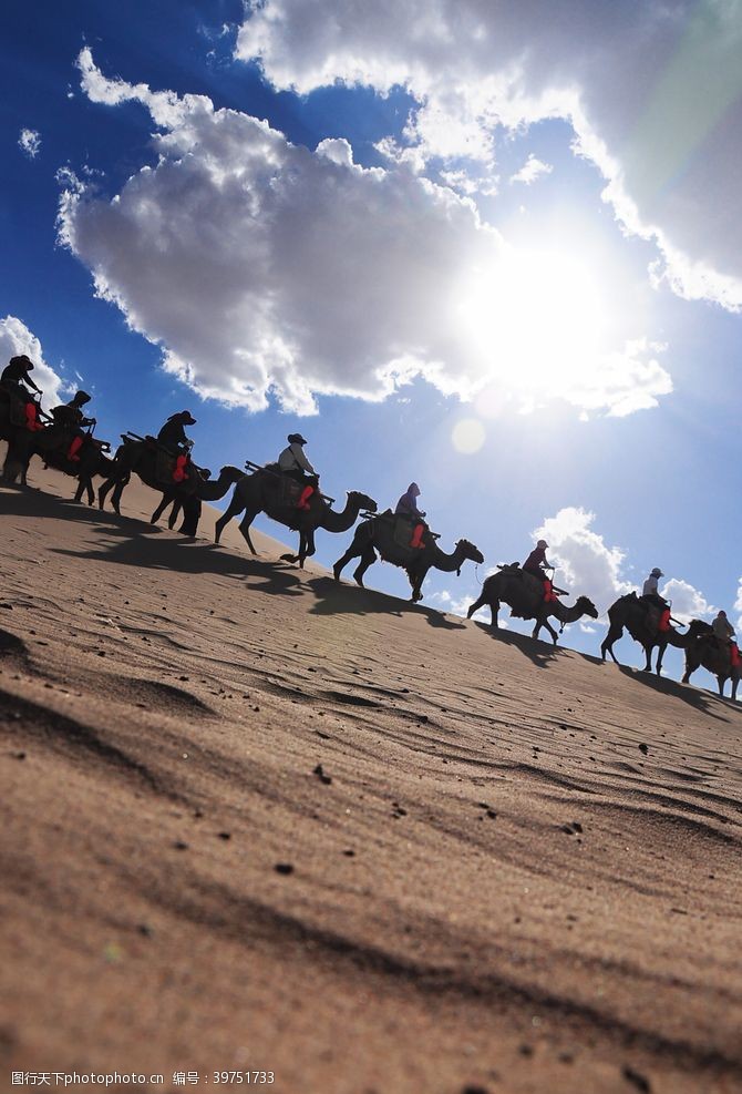 自然美景沙漠骆驼图片