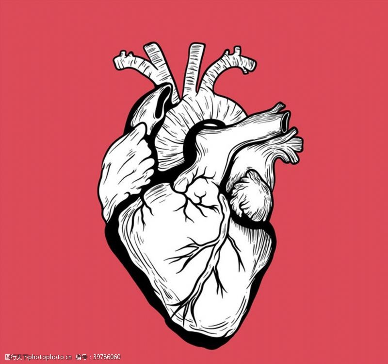 右心房手绘心脏设计图片