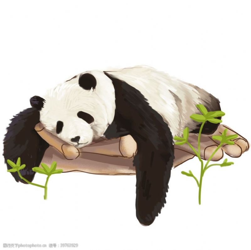 卡通熊猫手绘熊猫图片