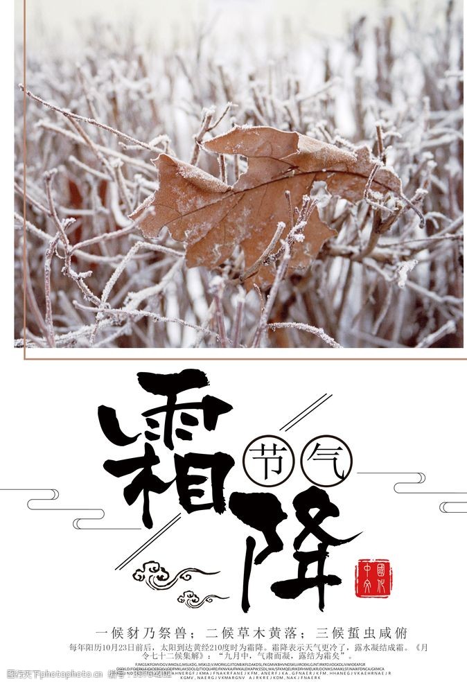 传统节气日期霜降节气海报图片