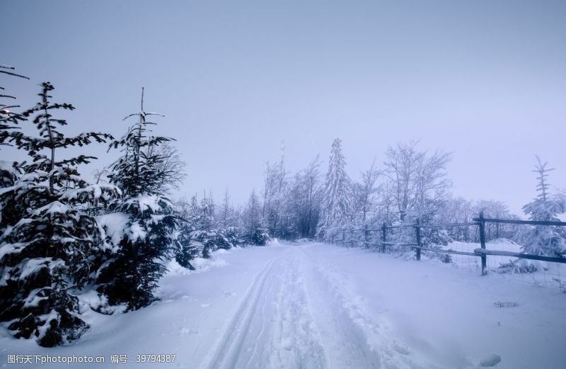公路风光雪天图片