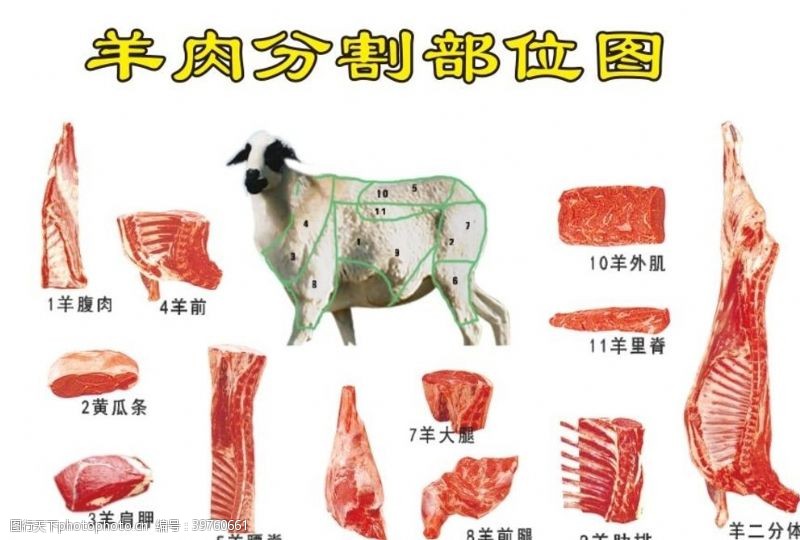 牛肉分割图羊肉分割部位图图片