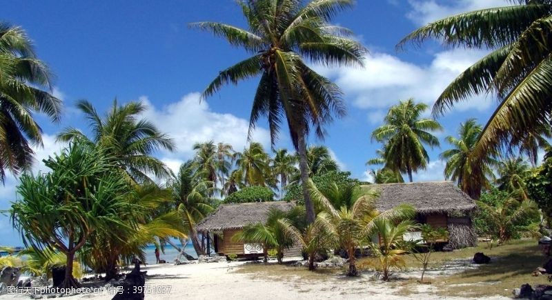 沙滩派对椰子树沙滩美景图片