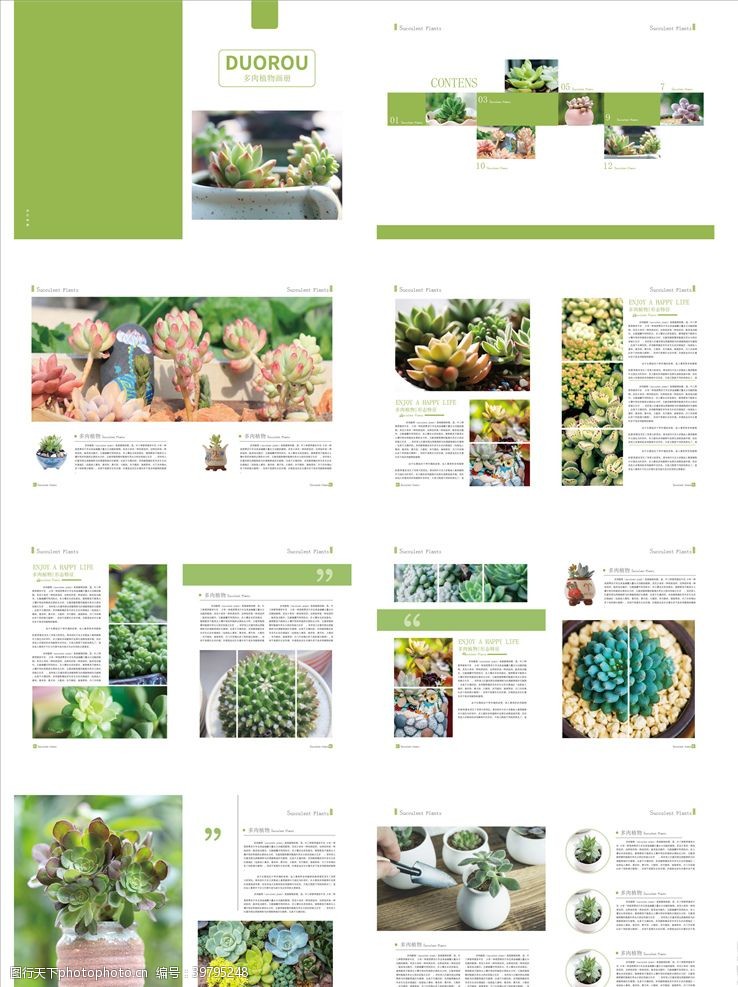 企业画册版式植物画册图片