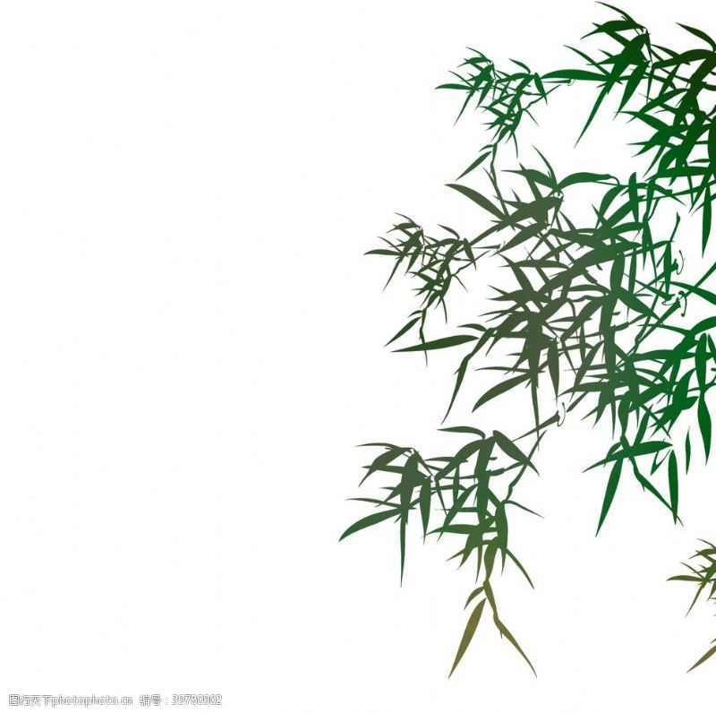 竹子元素装饰植物竹叶图片