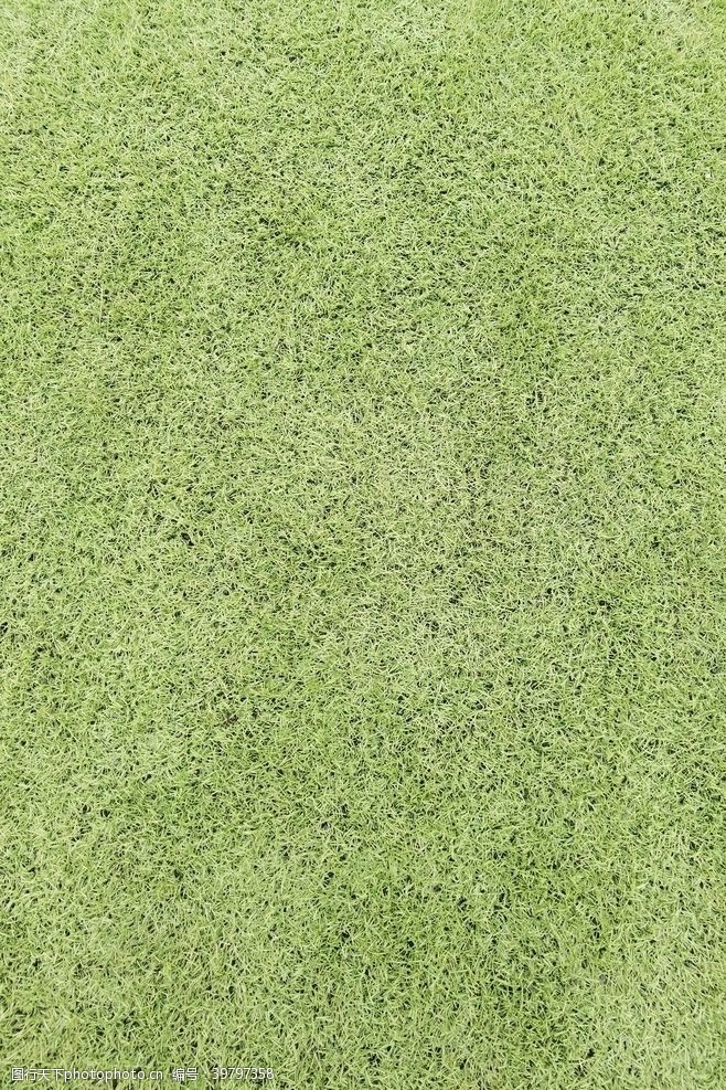 绿色草坪足球场草坪绿色草皮球场图片