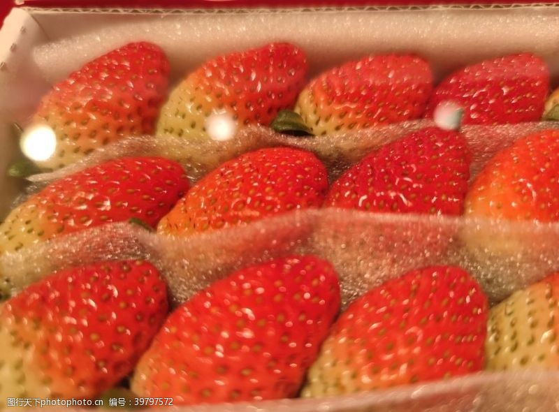 套盒草莓图片