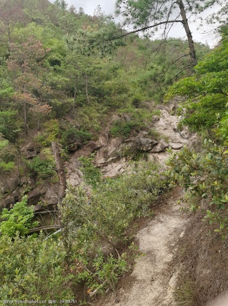 户外登山登山森林图片